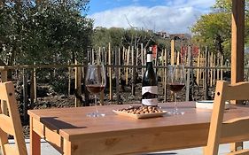 Tenuta Bastonaca Foto
